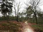 Sallandse Heuvelrug